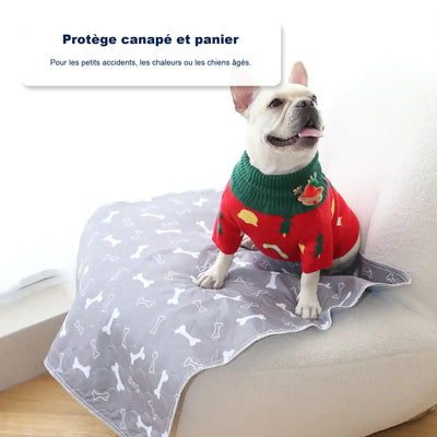 Le seul tapis de propreté dont votre chien aura besoin