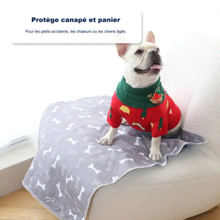 Tapis de propreté pour chien