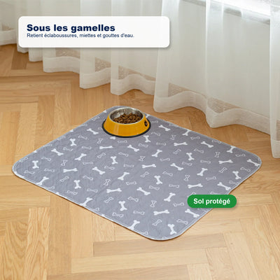 Le seul tapis de propreté dont votre chien aura besoin