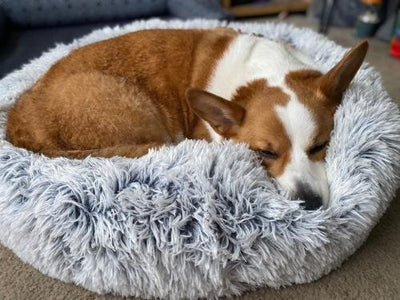 Customer testimonial video