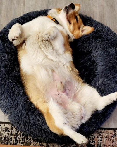 Customer testimonial video