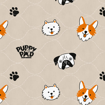 Le seul tapis de propreté dont votre chien aura besoin
