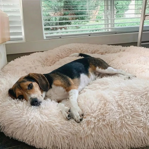 Panier Anti-Stress pour Chien – Coussin Apaisant