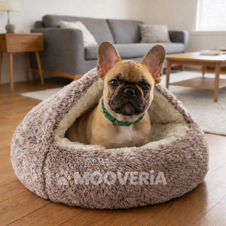 Panier Cocon Apaisant pour Chien