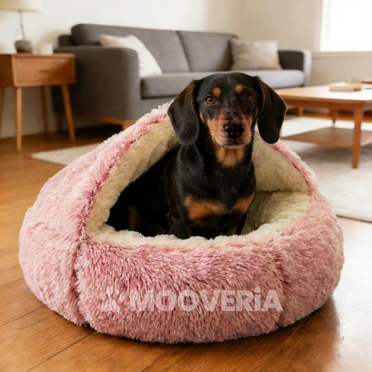 Cocon Anti-Stress Mooveria™ – Coussin Apaisant pour Chien