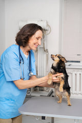 Conseils et informations rédigés avec l’aide de professionnels du comportement canin