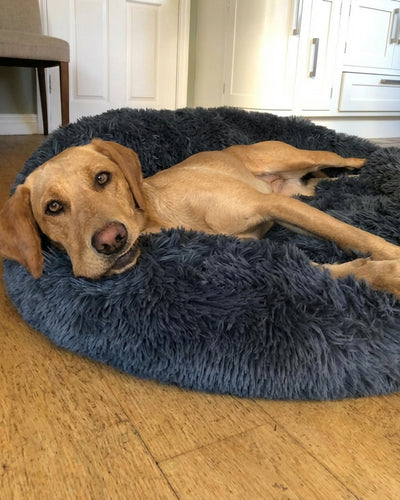 Customer testimonial video