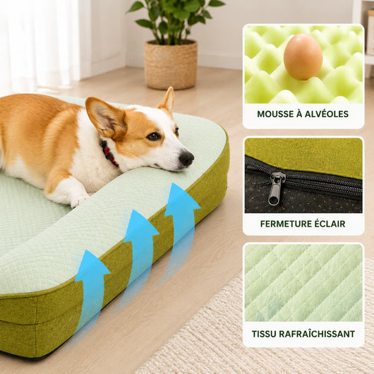 Panier Fraîcheur pour Chien – Confort Été