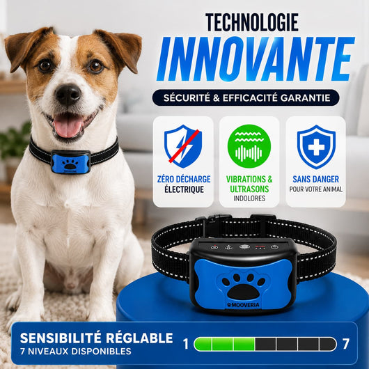 Collier anti-aboiement sans douleur