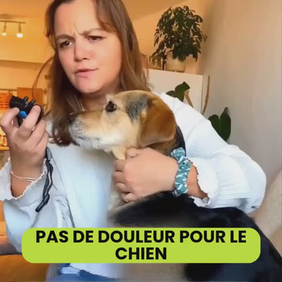 Collier anti-aboiement vibration douce pour chien